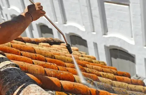 Nettoyage de toitures - Champtocé-sur-Loire